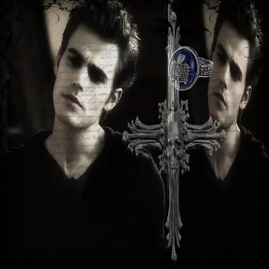 Profile image of Stefan