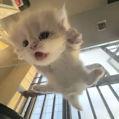 Profile image of 쌀