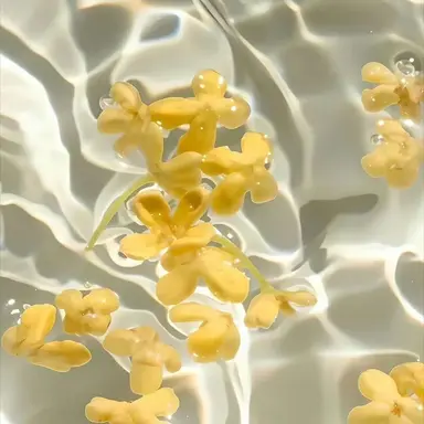 Profile image of 김각별