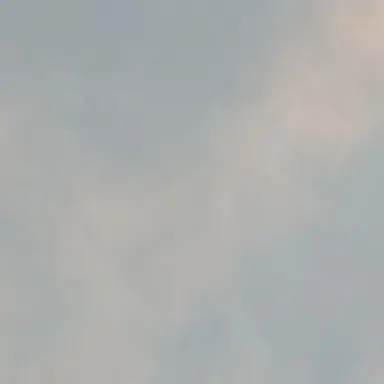 Profile image of 齋藤つばき