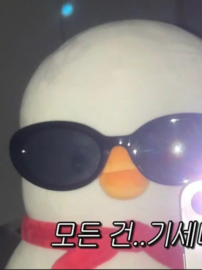happykeki의 비스트들과 일상생활⭐⭐⭐