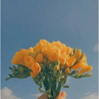 Profile image of 주황이