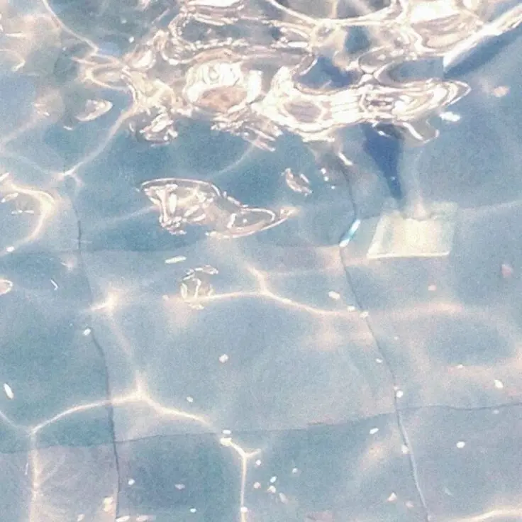 S__k____2525의 パラオ(🇯🇵☀️視点)