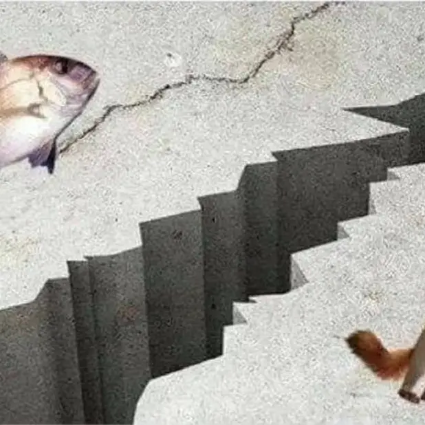 ganghearin의 백사헌