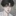 성태안