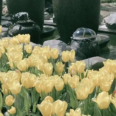 Profile image of 이현