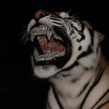 Profile image of 불렛 리