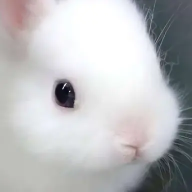 Profile image of 지훈