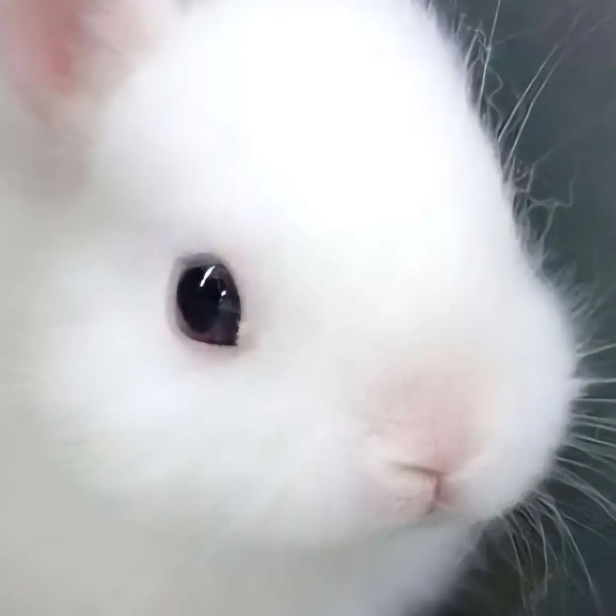 SoftUnau5749의 디코에서 놀기