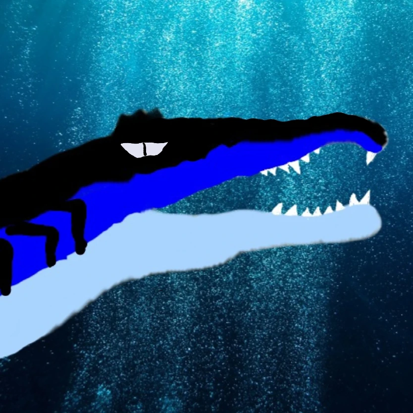 잭