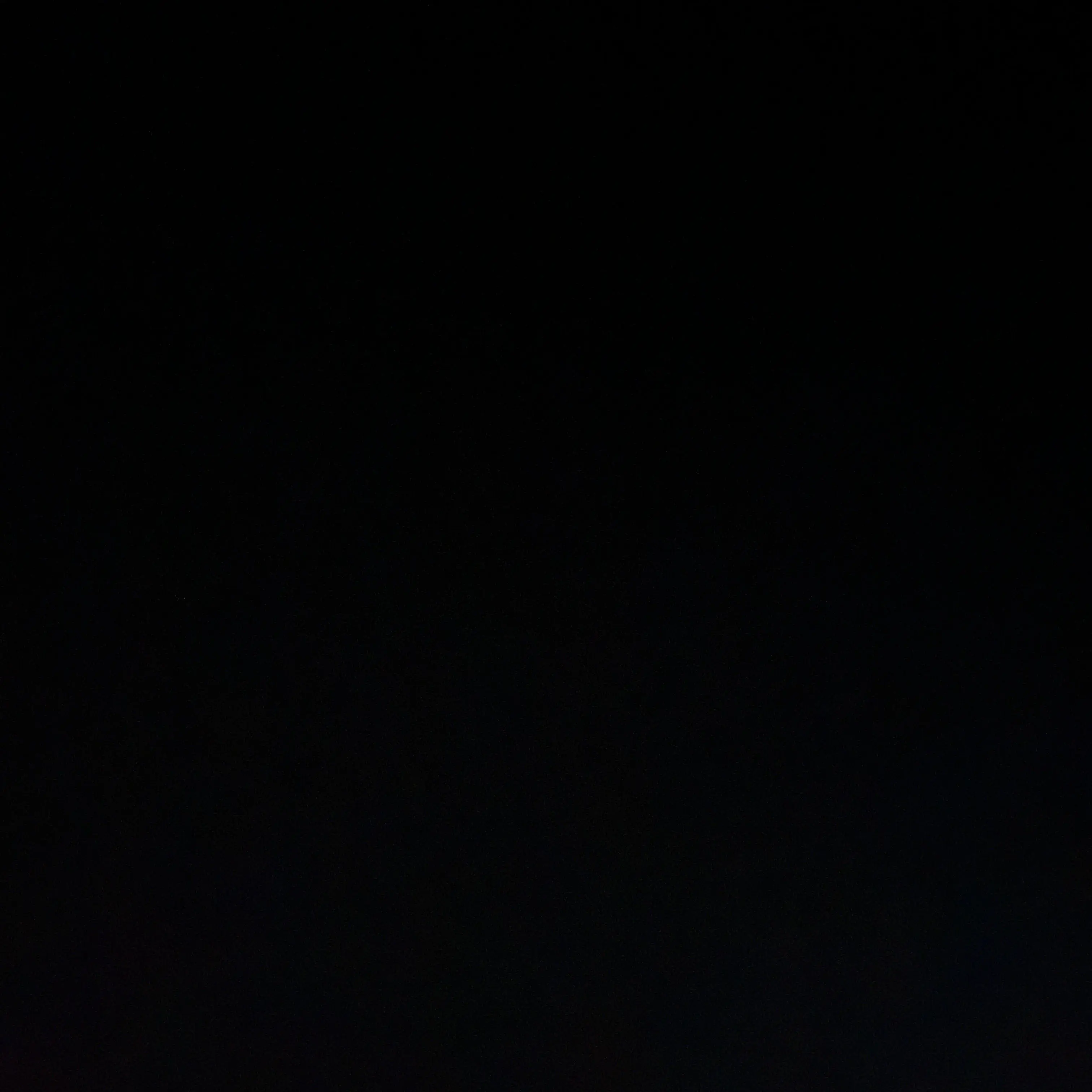 cat_s의 태권도 국가대표 훈련소