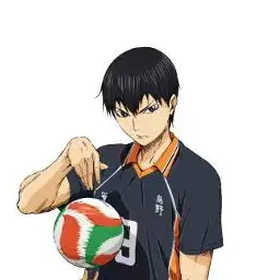 Profile image of 影山飛雄