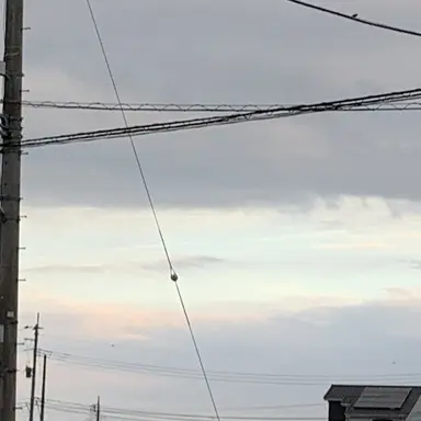 Profile image of もふ