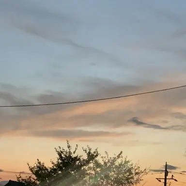 Profile image of なおきり