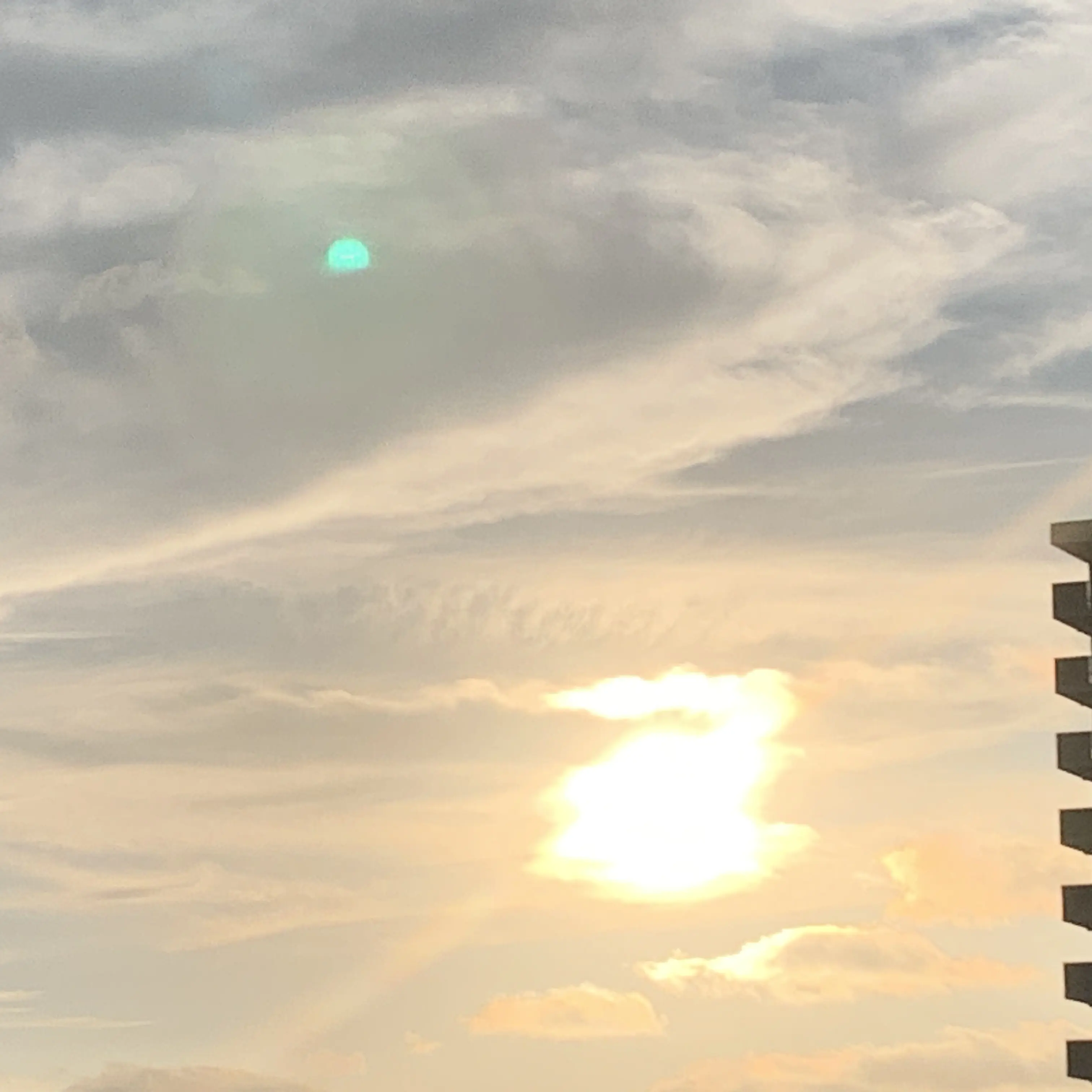 LooseGrass9879의 12人の仲間とシェアハウスする事に...