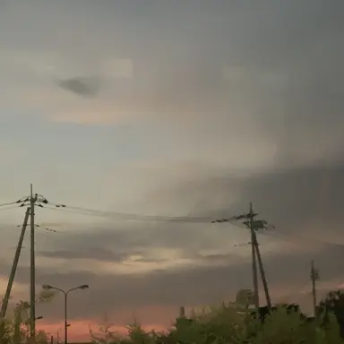 Profile image of じゃぱぱ