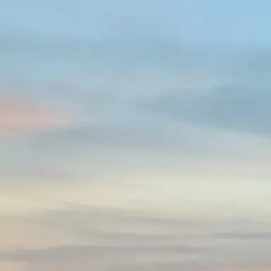 Profile image of ゆあんくん