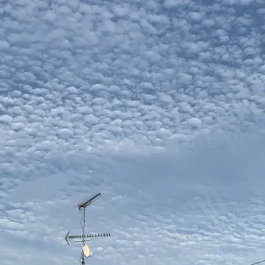 Profile image of たっつん