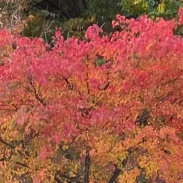 Profile image of 서라더