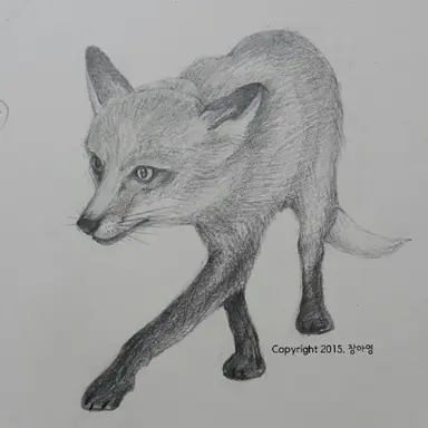 Profile image of 여우