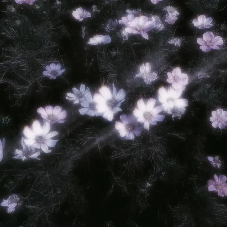 Look의 뜰팁 (+여우)