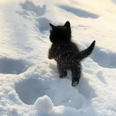 Profile image of 잭