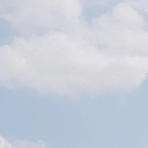 블레쉬