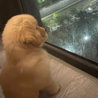 Profile image of みんぎゅ