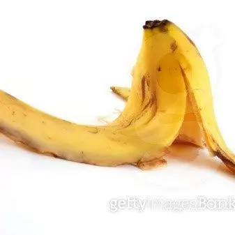 Profile image of 바나나 민간인