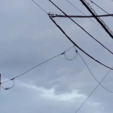 Profile image of 目黒蓮