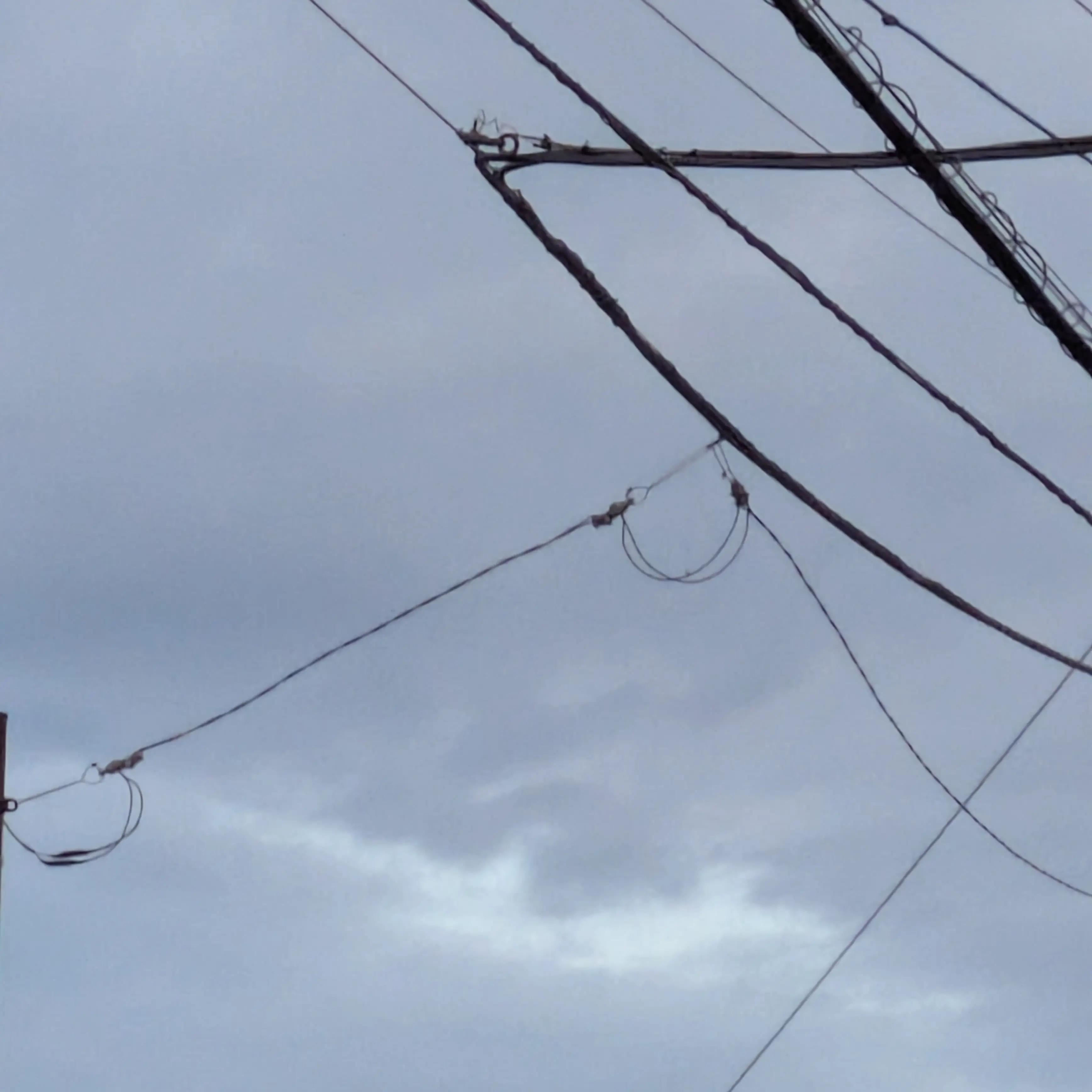 Meguro_Renn의 「あなたは向井康二」