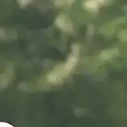 이지훈