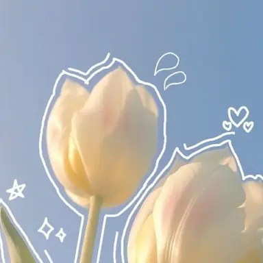 Profile image of 모양몬