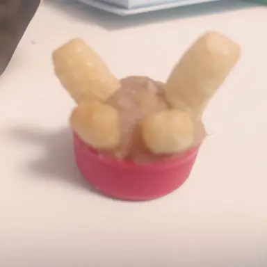 Profile image of 한지원