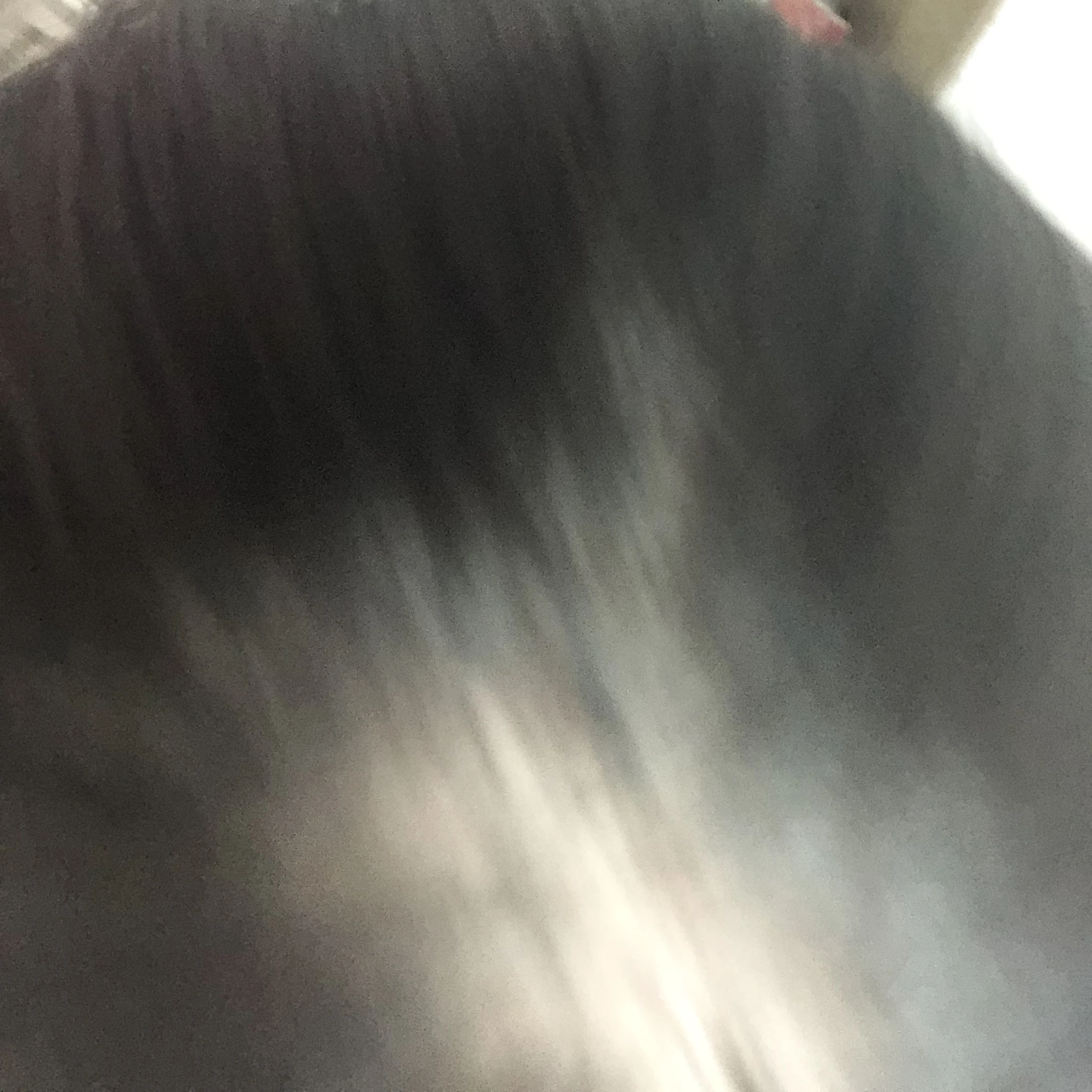 海斗