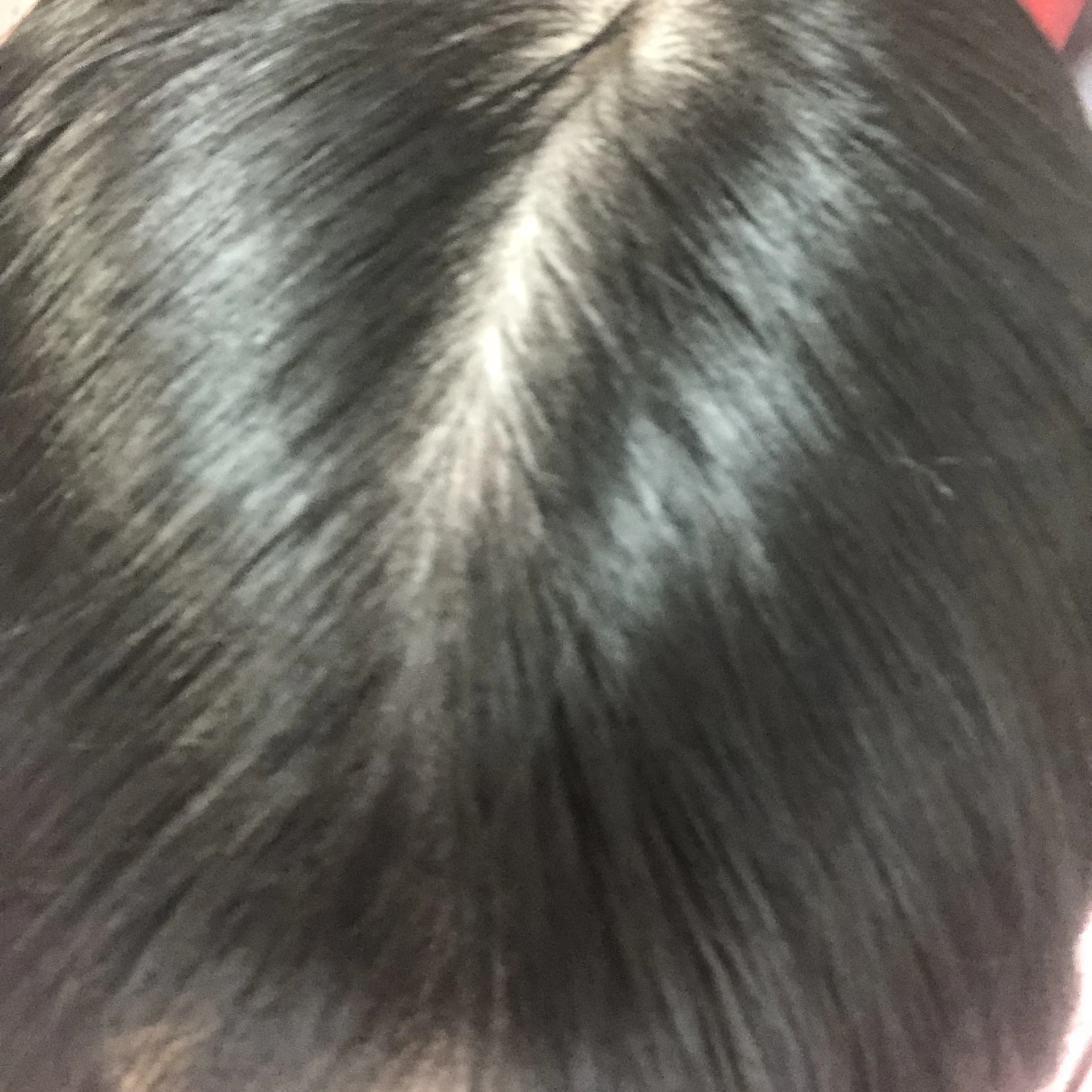 キラ