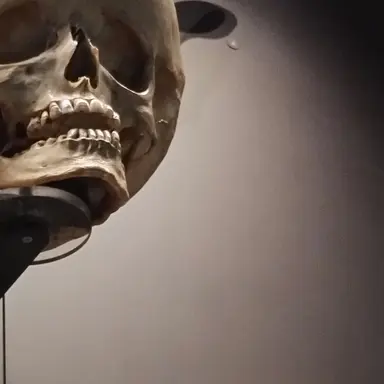 Profile image of アルマン