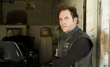 Profile image of Tig Trager