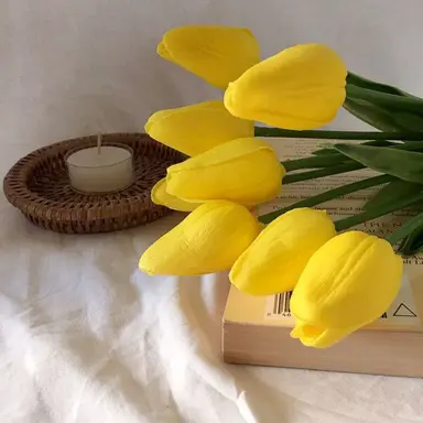 Profile image of 김각별