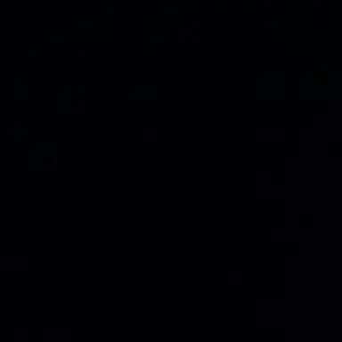 Profile image of 김애리