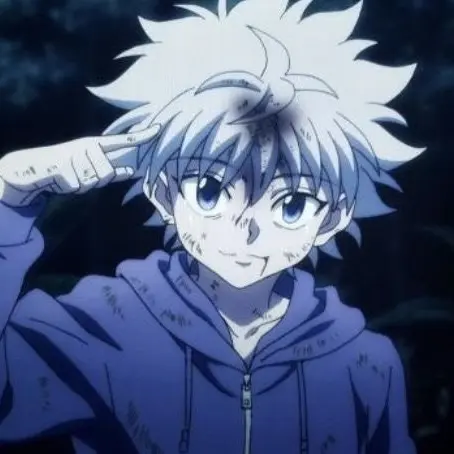 Reinevrabloodwalker의 Hxh