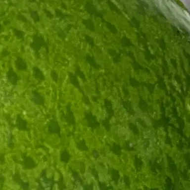 Profile image of モブ3