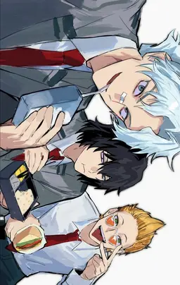 Profile image of The old rooftop trio