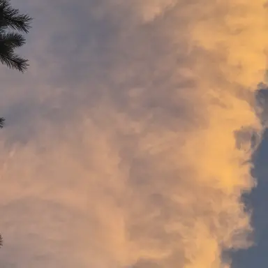 Profile image of 비서