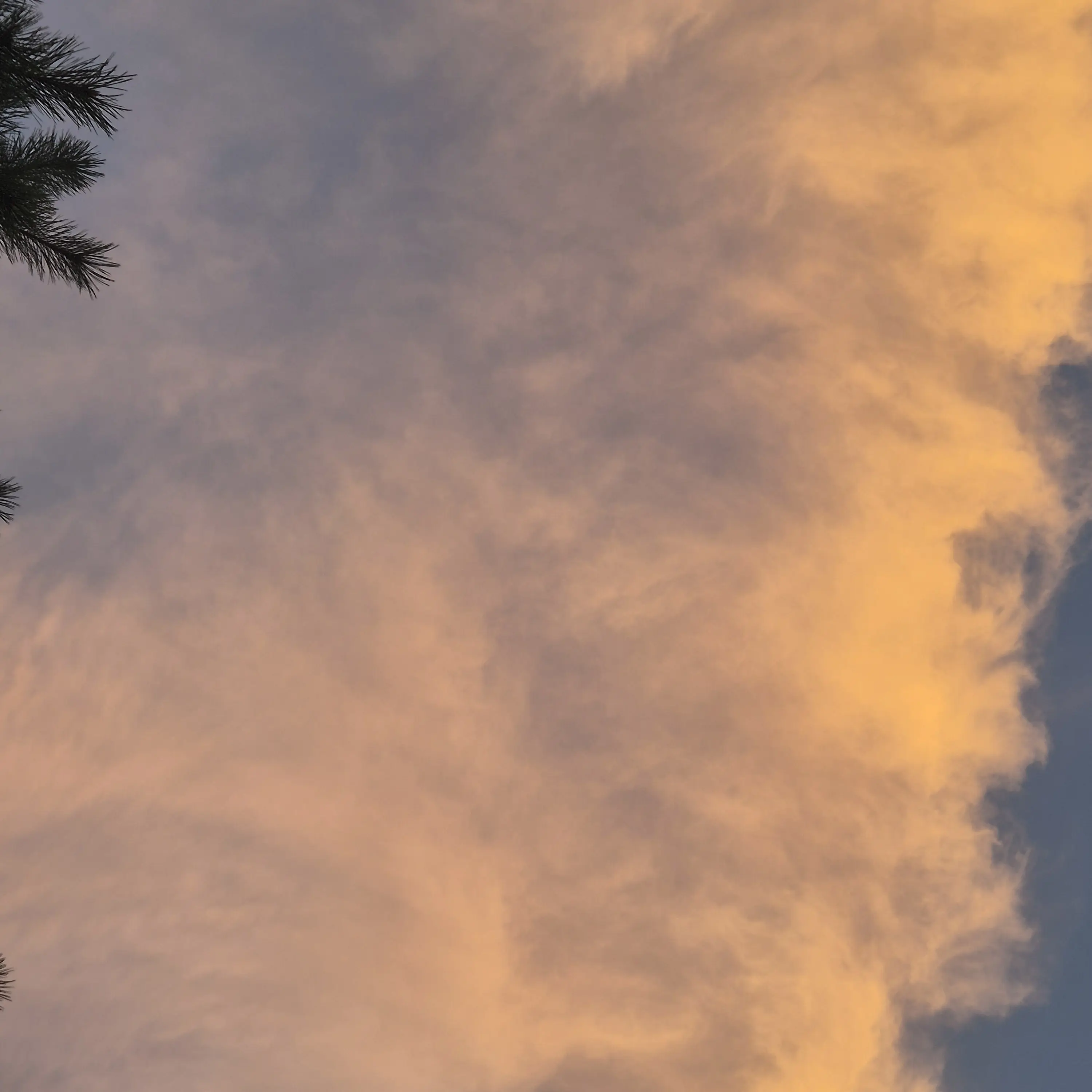 FlushBoy4390의 성공한 CEO입니다. 근데 9살인