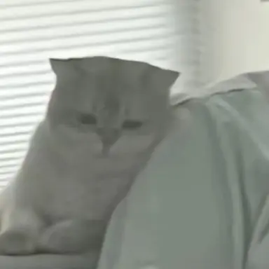 Profile image of 김수환