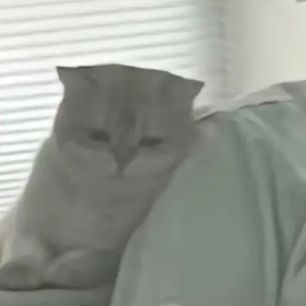 T1_and_GenG의 김수환