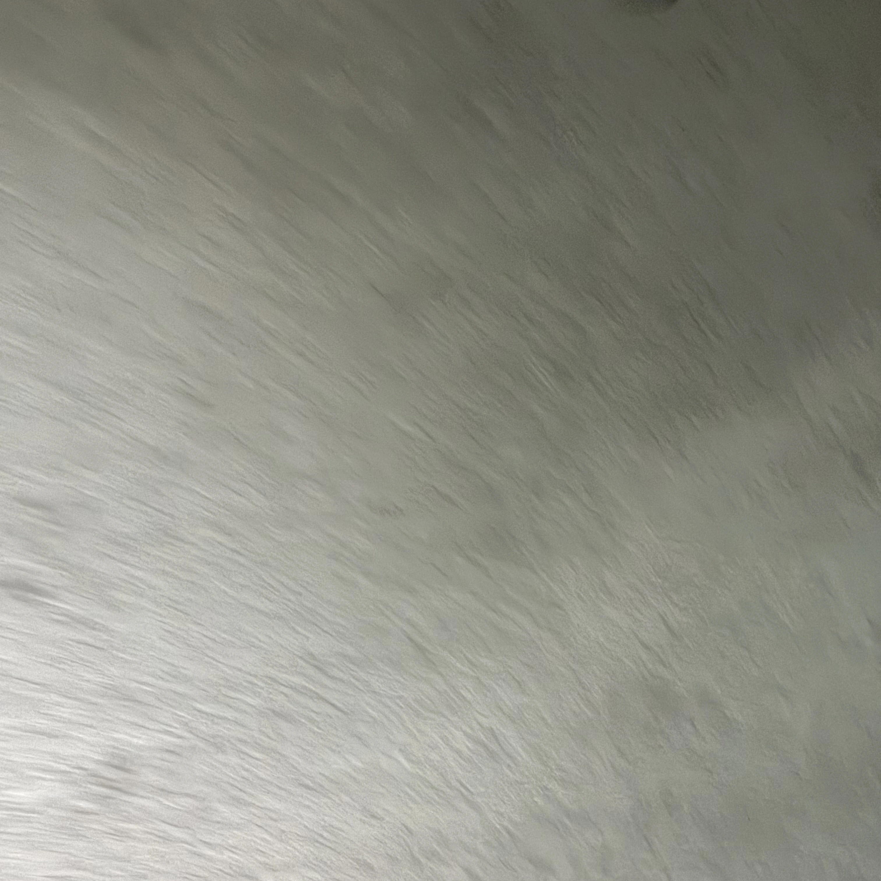이거