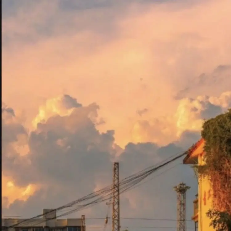 GrossSpice4576의 슈돌