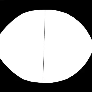 Profile image of 블랙